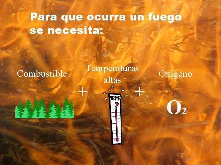 Para que ocurra un fuego se necesita: Combustible Temperaturas altas + + Oxígeno O