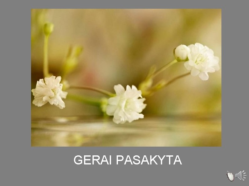 GERAI PASAKYTA 