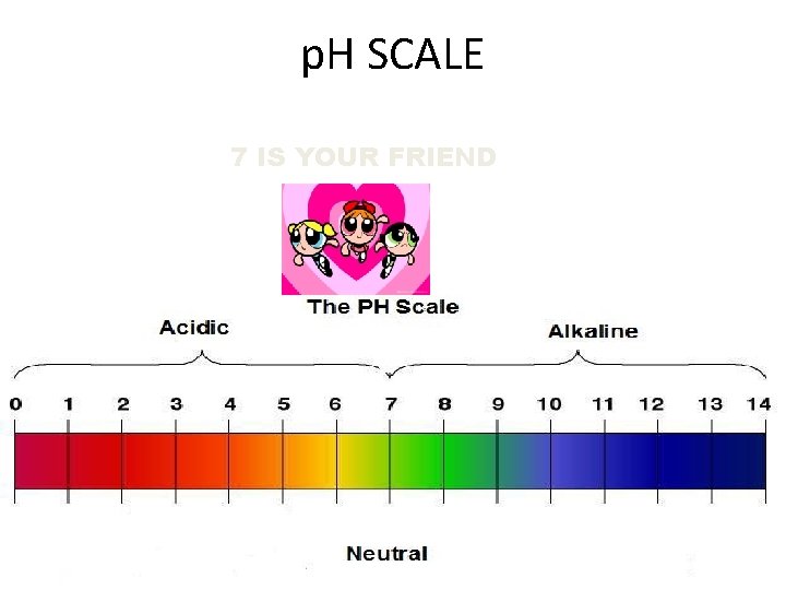 p. H SCALE 7 IS YOUR FRIEND 