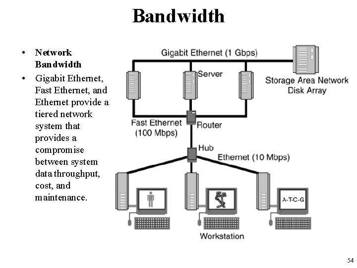 Bandwidth • Network Bandwidth • Gigabit Ethernet, Fast Ethernet, and Ethernet provide a tiered