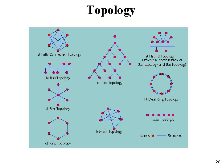Topology 58 