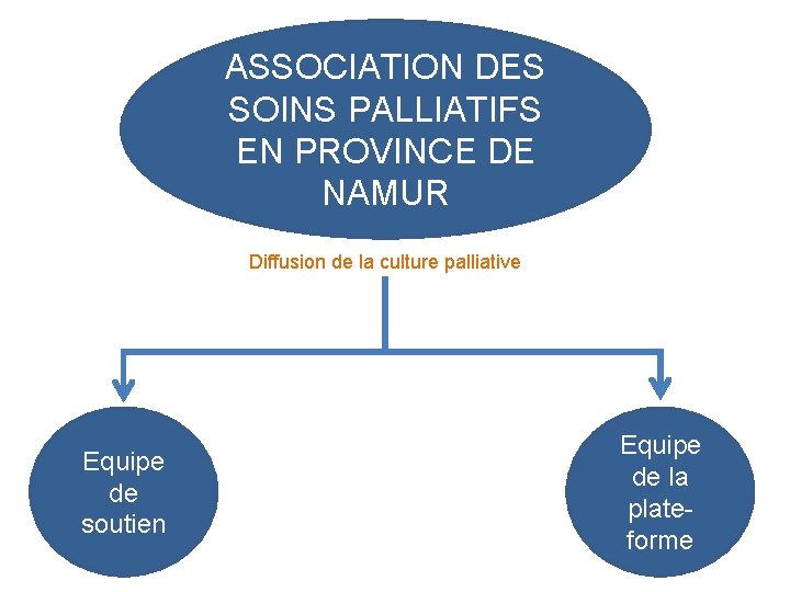 ASSOCIATION DES SOINS PALLIATIFS EN PROVINCE DE NAMUR Diffusion de la culture palliative Equipe
