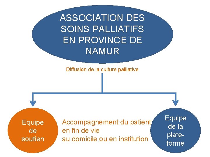 ASSOCIATION DES SOINS PALLIATIFS EN PROVINCE DE NAMUR Diffusion de la culture palliative Equipe