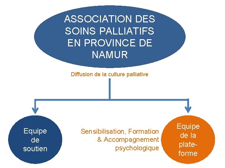 ASSOCIATION DES SOINS PALLIATIFS EN PROVINCE DE NAMUR Diffusion de la culture palliative Equipe