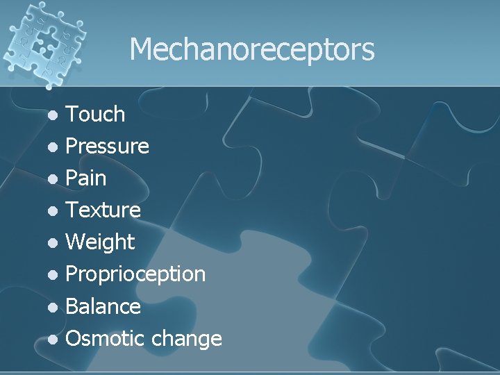 Mechanoreceptors Touch l Pressure l Pain l Texture l Weight l Proprioception l Balance