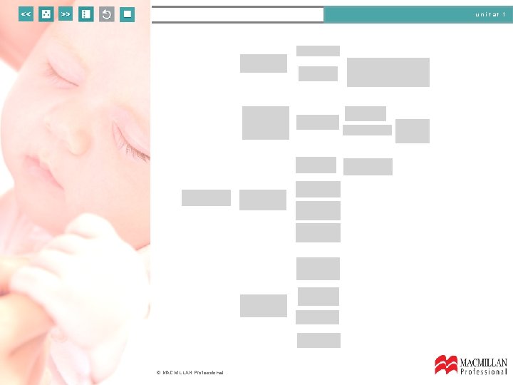 unitat 1 © MACMILLAN Professional 