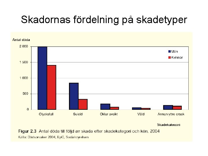 Skadornas fördelning på skadetyper 