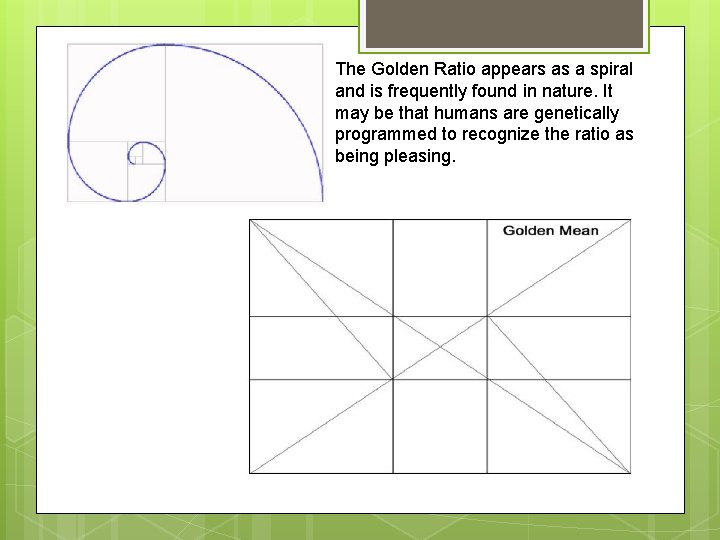 The Golden Ratio appears as a spiral and is frequently found in nature. It