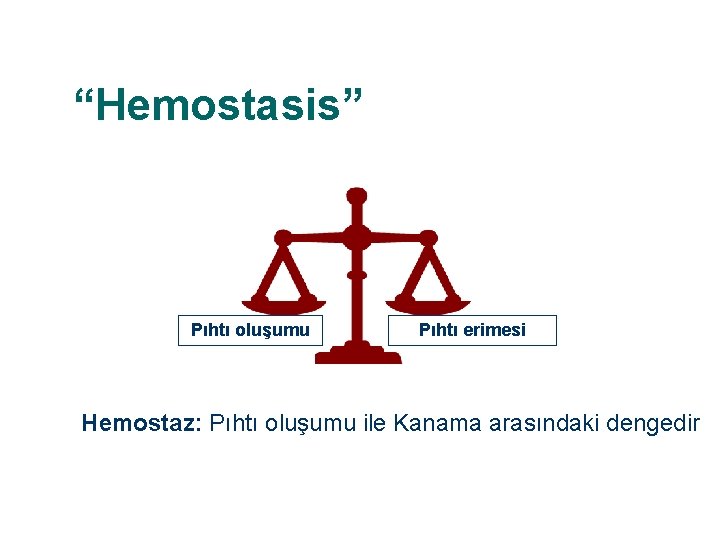 “Hemostasis” Pıhtı oluşumu Pıhtı erimesi Hemostaz: Pıhtı oluşumu ile Kanama arasındaki dengedir 