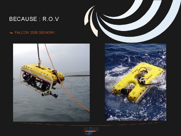 BECAUSE : R. O. V FALCON 2008 300 MSW : 