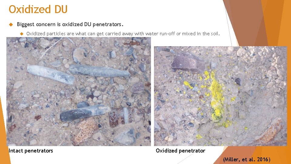 Oxidized DU Biggest concern is oxidized DU penetrators. Oxidized particles are what can get