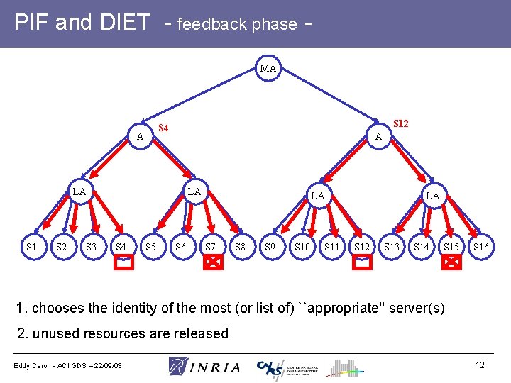 PIF and DIET - feedback phase MA S 12 S 4 A A LA
