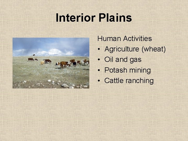 Interior Plains Human Activities • Agriculture (wheat) • Oil and gas • Potash mining