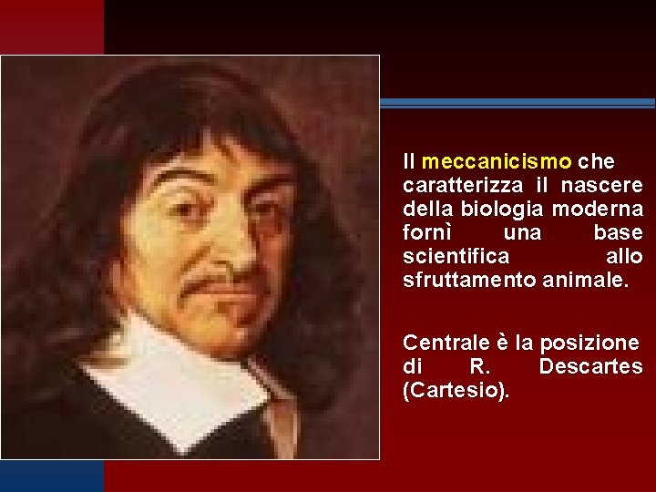 Il meccanicismo che caratterizza il nascere della biologia moderna fornì una base scientifica allo