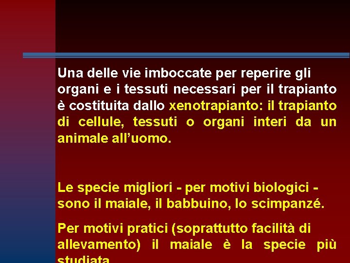 Una delle vie imboccate per reperire gli organi e i tessuti necessari per il