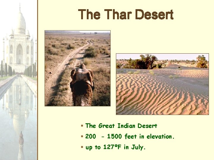 The Thar Desert § The Great Indian Desert § 200 - 1500 feet in