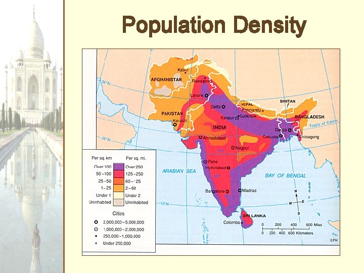 Population Density 