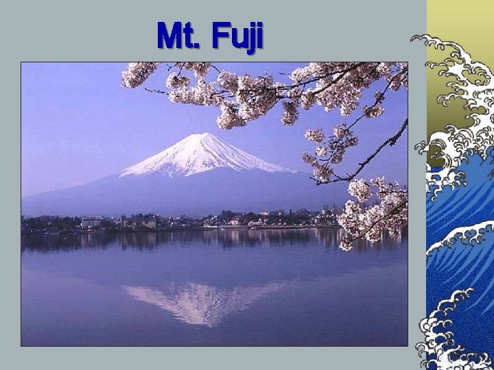 Mt. Fuji 