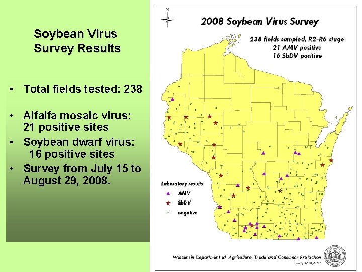 Soybean Virus Survey Results • Total fields tested: 238 • Alfalfa mosaic virus: 21