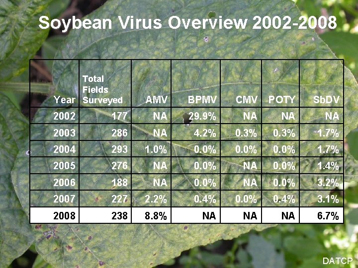 Soybean Virus Overview 2002 -2008 Total Fields Year Surveyed AMV BPMV CMV POTY Sb.