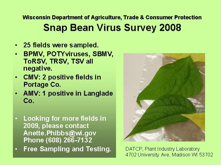 Wisconsin Department of Agriculture, Trade & Consumer Protection Snap Bean Virus Survey 2008 •