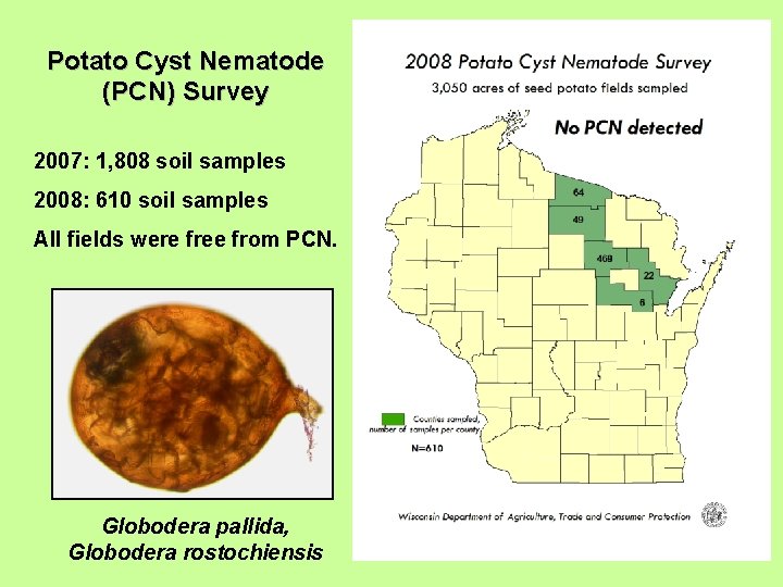 Potato Cyst Nematode (PCN) Survey 2007: 1, 808 soil samples 2008: 610 soil samples