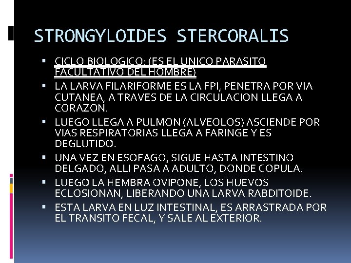 STRONGYLOIDES STERCORALIS CICLO BIOLOGICO: (ES EL UNICO PARASITO FACULTATIVO DEL HOMBRE) LA LARVA FILARIFORME