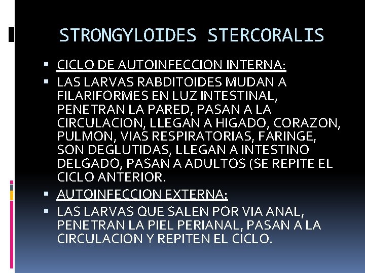 STRONGYLOIDES STERCORALIS CICLO DE AUTOINFECCION INTERNA: LAS LARVAS RABDITOIDES MUDAN A FILARIFORMES EN LUZ