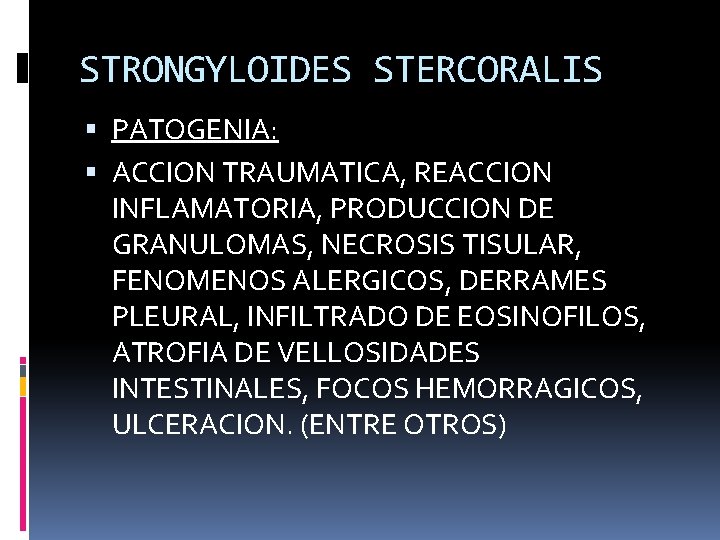 STRONGYLOIDES STERCORALIS PATOGENIA: ACCION TRAUMATICA, REACCION INFLAMATORIA, PRODUCCION DE GRANULOMAS, NECROSIS TISULAR, FENOMENOS ALERGICOS,