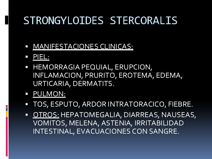 STRONGYLOIDES STERCORALIS MANIFESTACIONES CLINICAS: PIEL: HEMORRAGIA PEQUIAL, ERUPCION, INFLAMACION, PRURITO, EROTEMA, EDEMA, URTICARIA, DERMATITS.