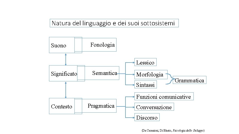 Natura del linguaggio e dei suoi sottosistemi Suono Fonologia Lessico Significato Semantica Morfologia Sintassi