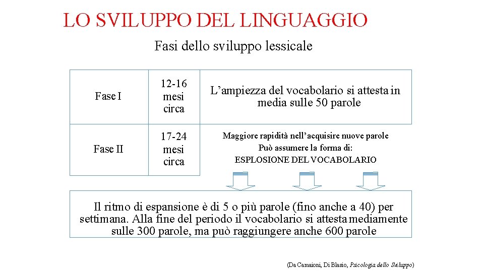 LO SVILUPPO DEL LINGUAGGIO Fasi dello sviluppo lessicale Fase I 12 -16 mesi circa