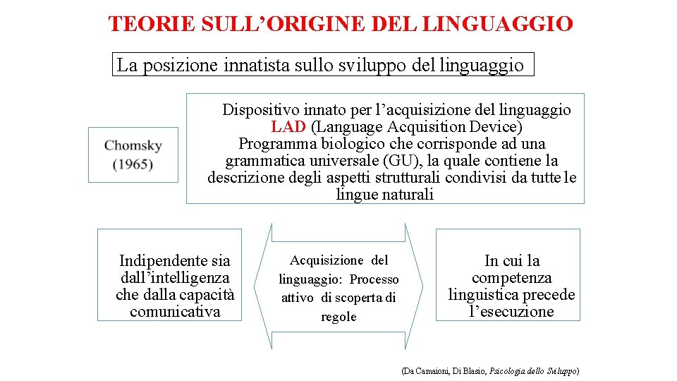 TEORIE SULL’ORIGINE DEL LINGUAGGIO La posizione innatista sullo sviluppo del linguaggio Dispositivo innato per