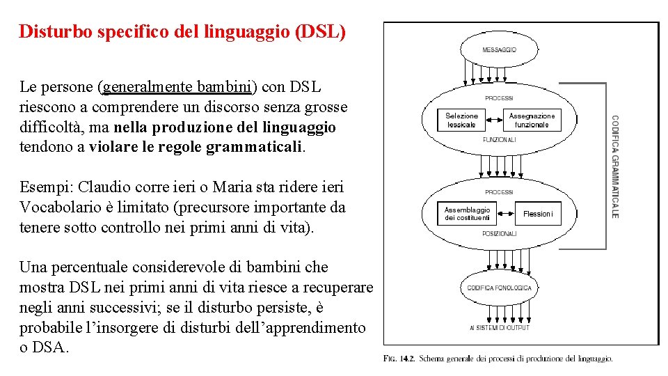 Disturbo specifico del linguaggio (DSL) Le persone (generalmente bambini) con DSL riescono a comprendere