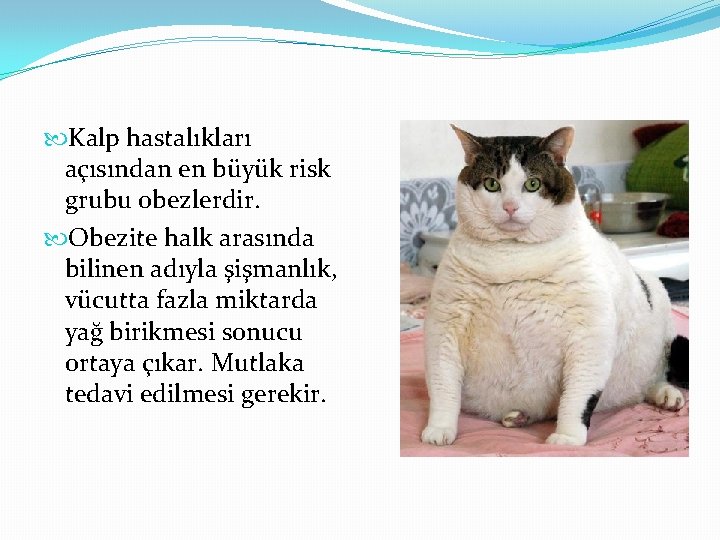  Kalp hastalıkları açısından en büyük risk grubu obezlerdir. Obezite halk arasında bilinen adıyla