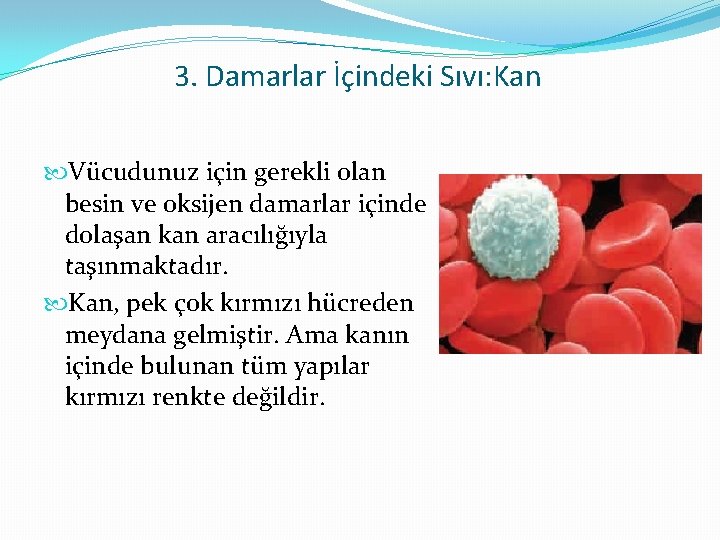 3. Damarlar İçindeki Sıvı: Kan Vücudunuz için gerekli olan besin ve oksijen damarlar içinde