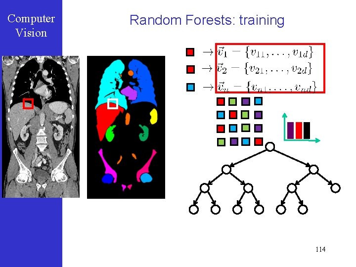 Computer Vision Random Forests: training 114 