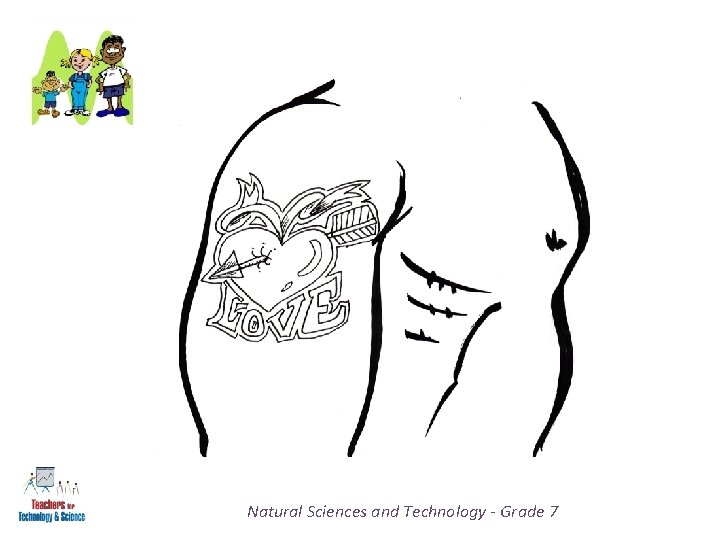 Natural Sciences and Technology - Grade 7 
