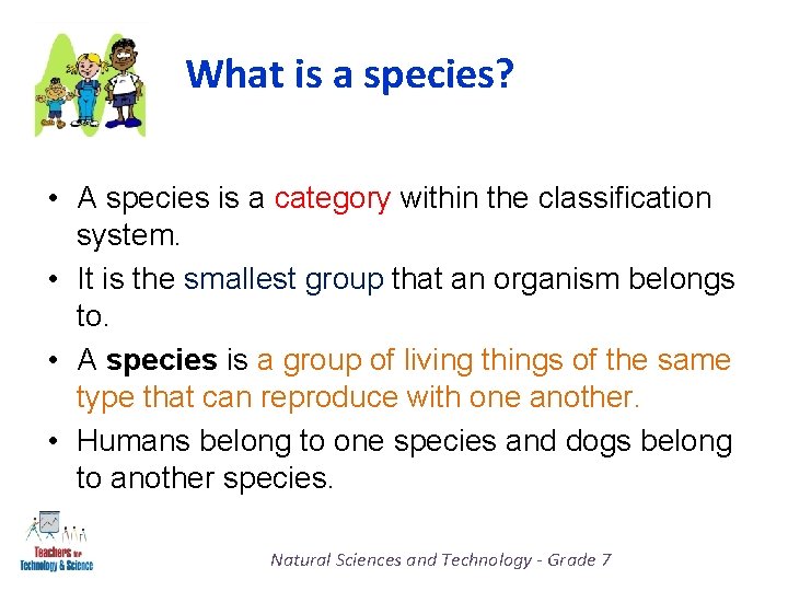 What is a species? • A species is a category within the classification system.