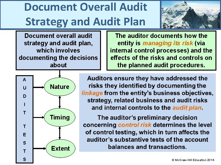 Document Overall Audit Strategy and Audit Plan Document overall audit strategy and audit plan,