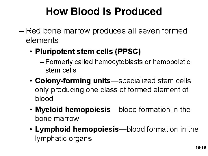 How Blood is Produced – Red bone marrow produces all seven formed elements •