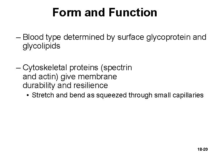 Form and Function – Blood type determined by surface glycoprotein and glycolipids – Cytoskeletal