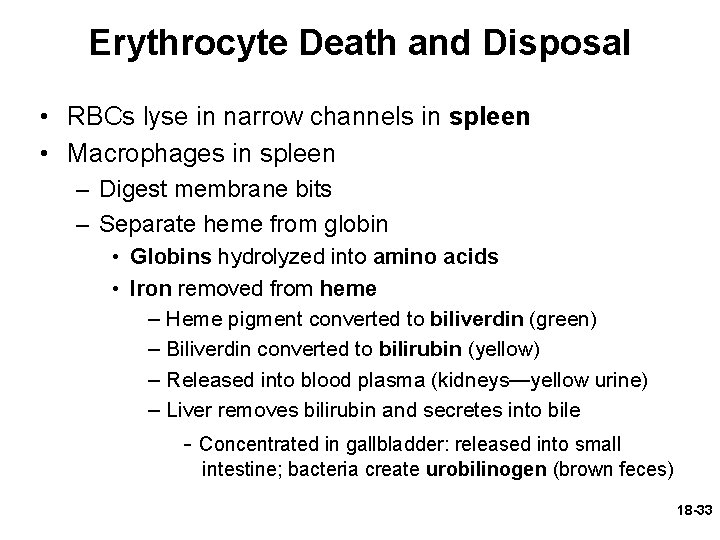 Erythrocyte Death and Disposal • RBCs lyse in narrow channels in spleen • Macrophages