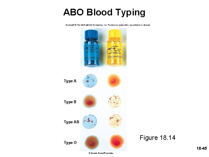 ABO Blood Typing Copyright © The Mc. Graw-Hill Companies, Inc. Permission required for reproduction