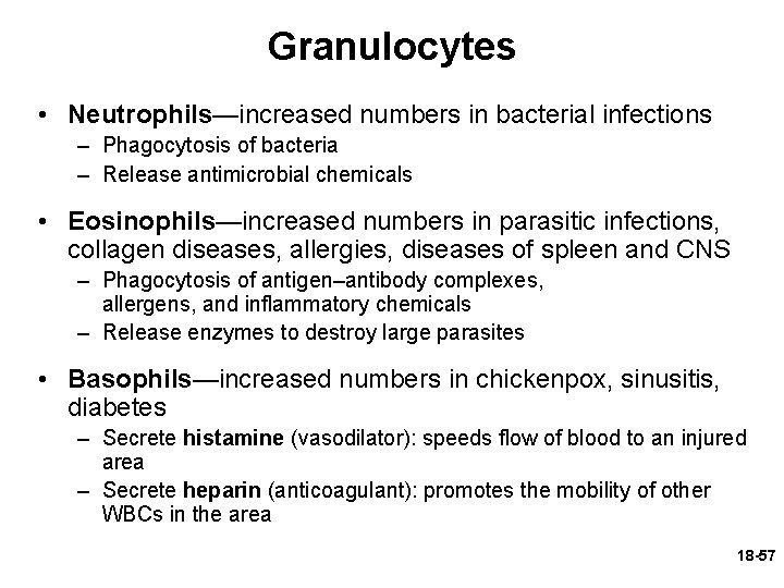 Granulocytes • Neutrophils—increased numbers in bacterial infections – Phagocytosis of bacteria – Release antimicrobial