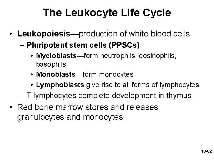 The Leukocyte Life Cycle • Leukopoiesis—production of white blood cells – Pluripotent stem cells