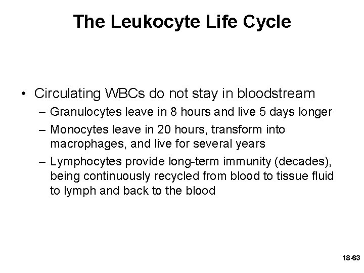 The Leukocyte Life Cycle • Circulating WBCs do not stay in bloodstream – Granulocytes