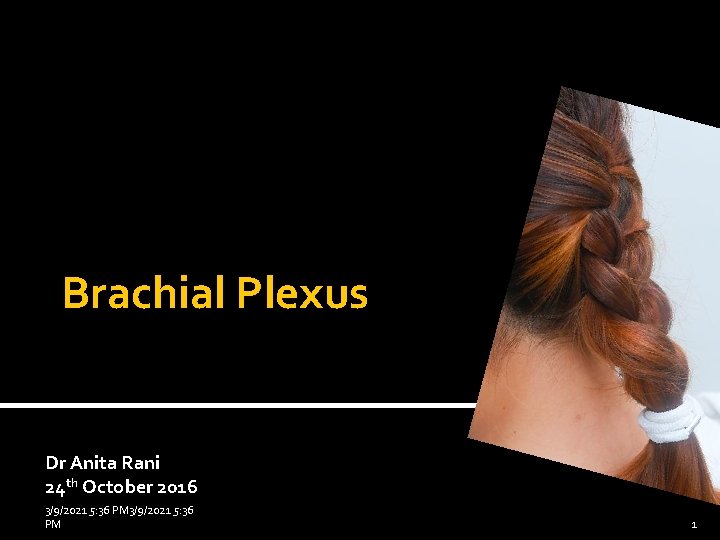 Brachial Plexus Dr Anita Rani 24 th October 2016 3/9/2021 5: 36 PM 1