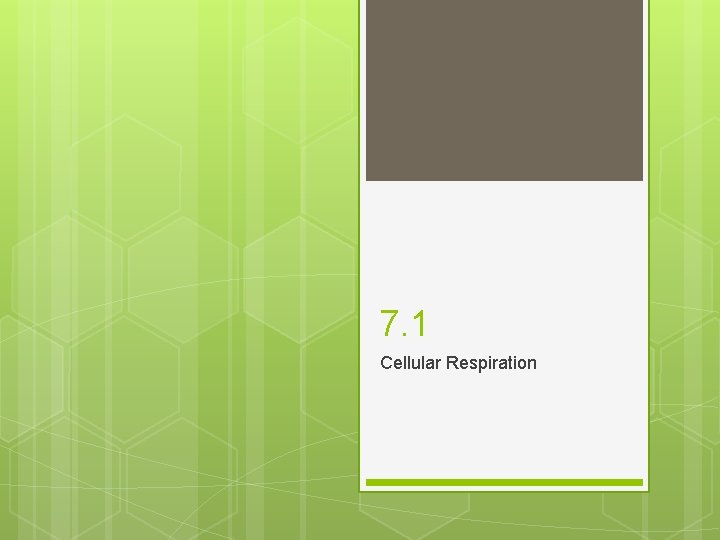 7. 1 Cellular Respiration 