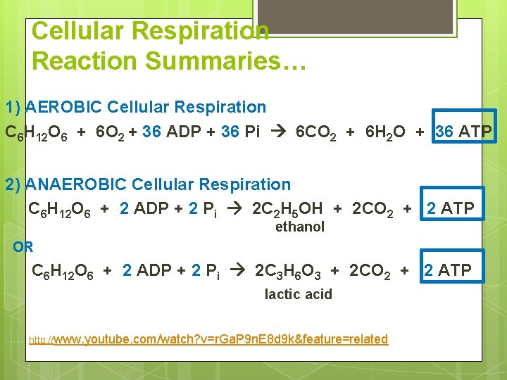 Cellular Respiration Reaction Summaries… 1) AEROBIC Cellular Respiration C 6 H 12 O 6